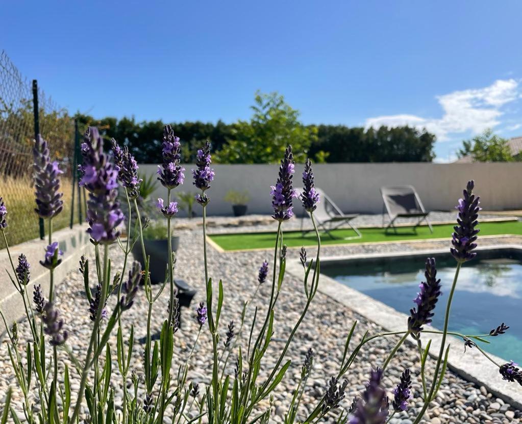 Toupie Et Bicyclette Villa Charmes-sur-Rhone ภายนอก รูปภาพ